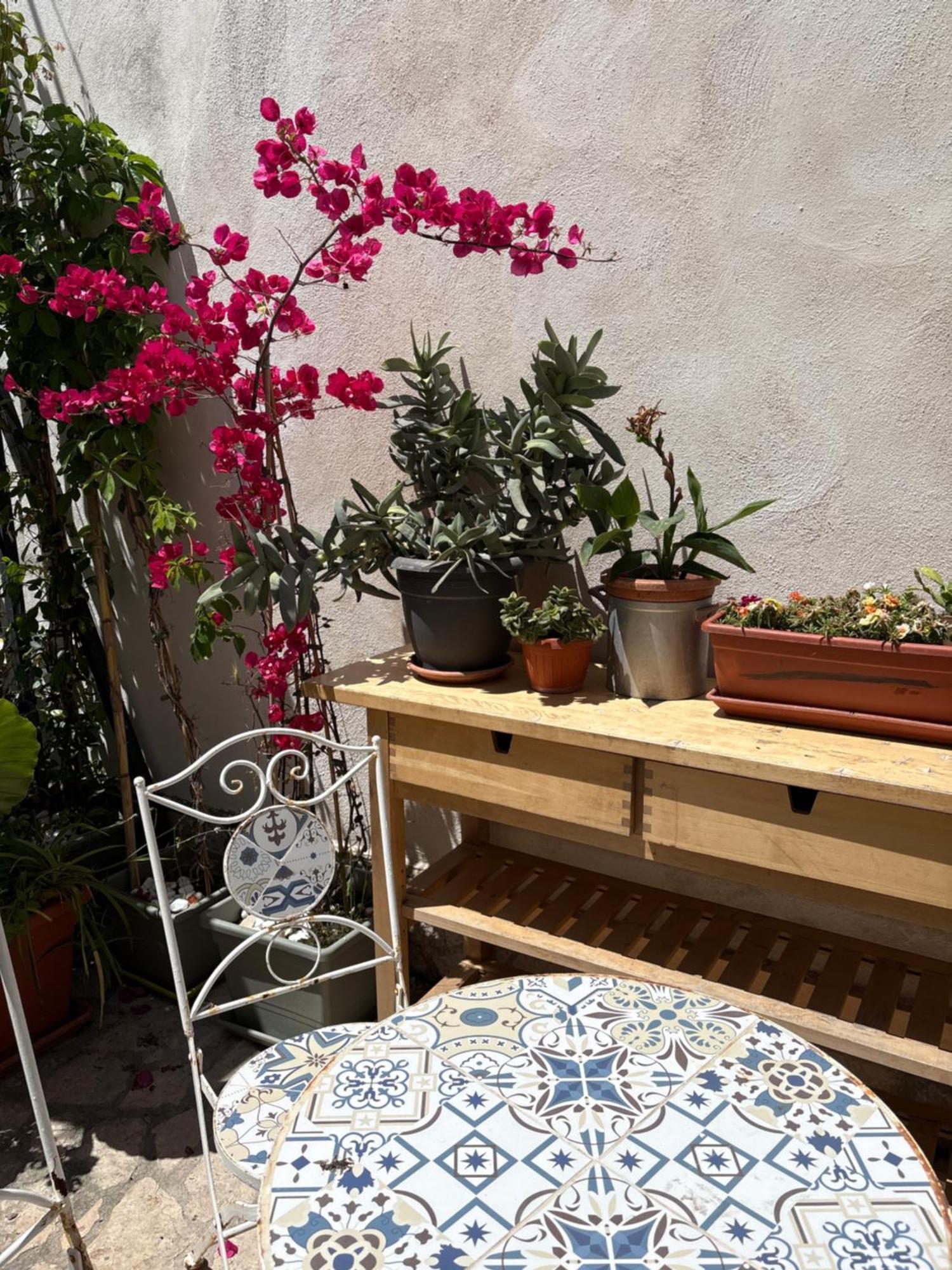 Hotel Il Giardino Dei Limoni Vieste Zewnętrze zdjęcie